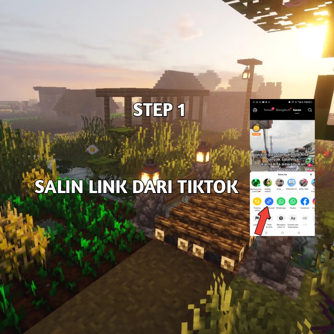 Step 1: Copy the TikTok video link