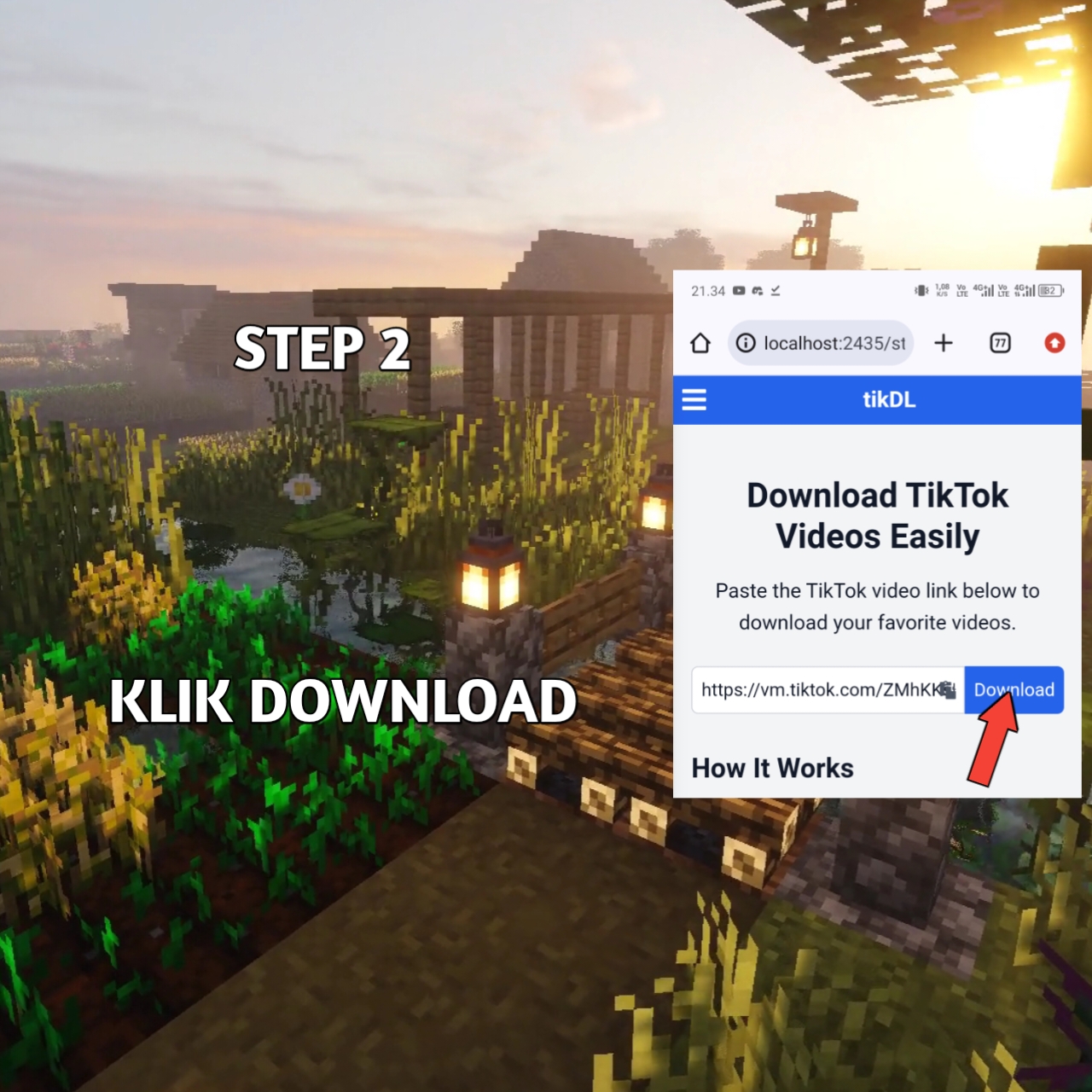 Step 2: Paste the link in the input field